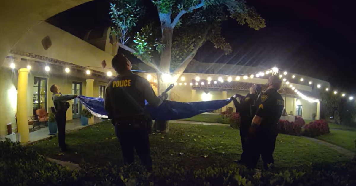 Young black bear relocated after wandering Eastside neighborhoods Young black bear relocated after wandering Eastside neighborhoods