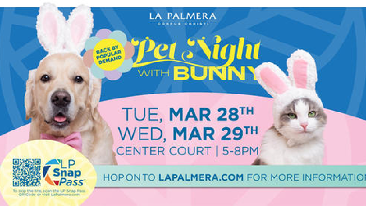 Pet Night with Bunny 