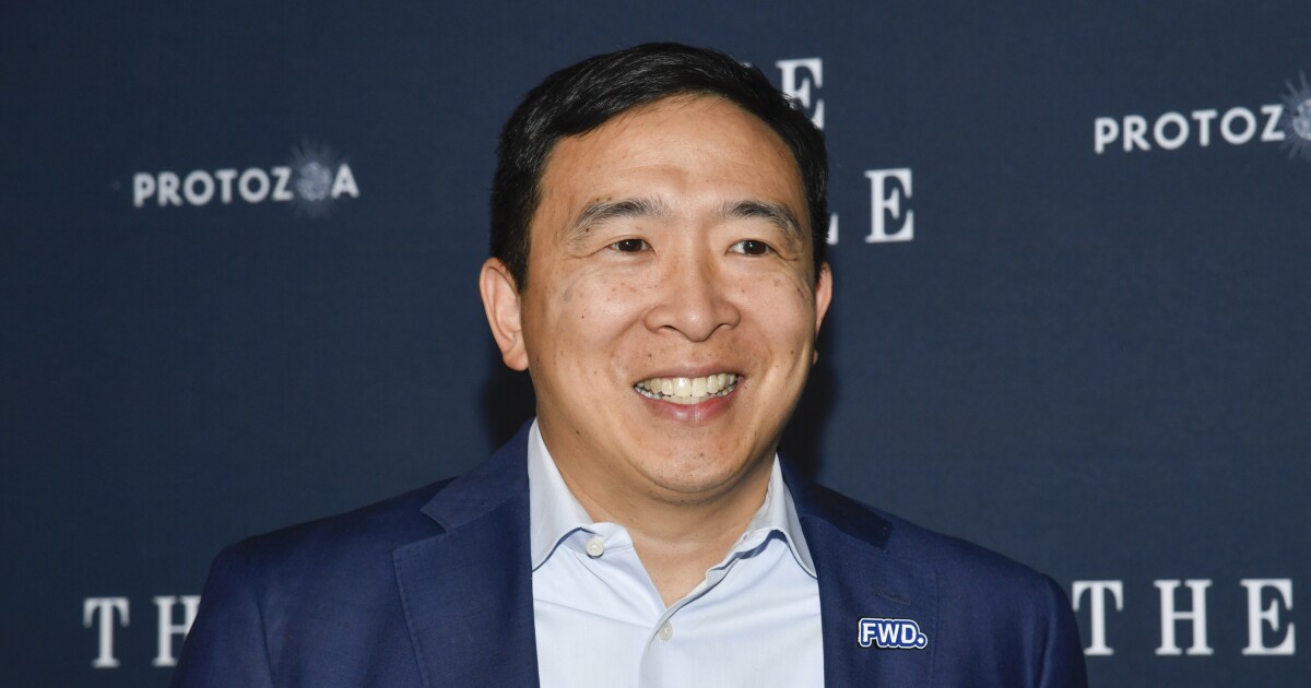 Andrew Yang predicts AI could eliminate half of white-collar jobs