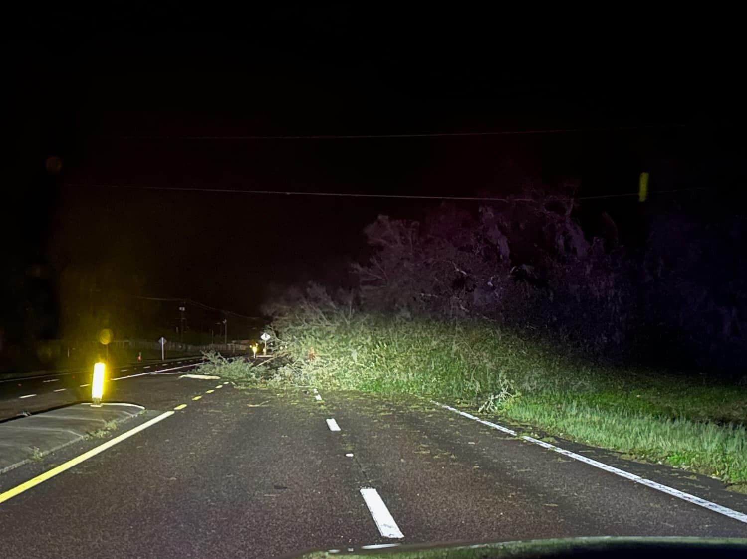 Storm debris in Pasco County