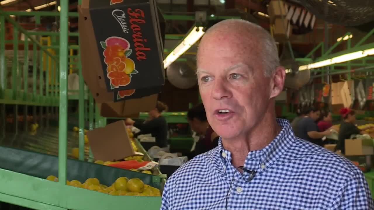Dan Richey is president of Riverfront Packing in Vero Beach, which packs local citrus products and sends them across US