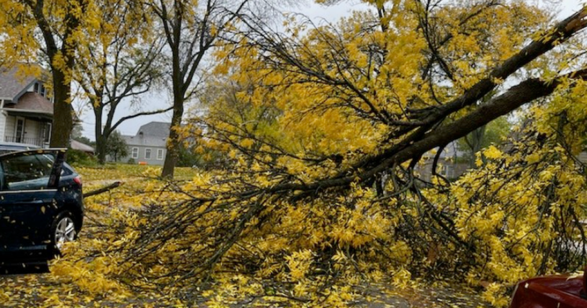 Storms tear through SE Wisconsin [GALLERY]