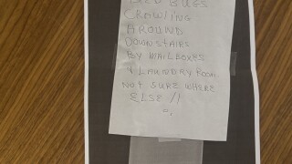 Bed bug sign