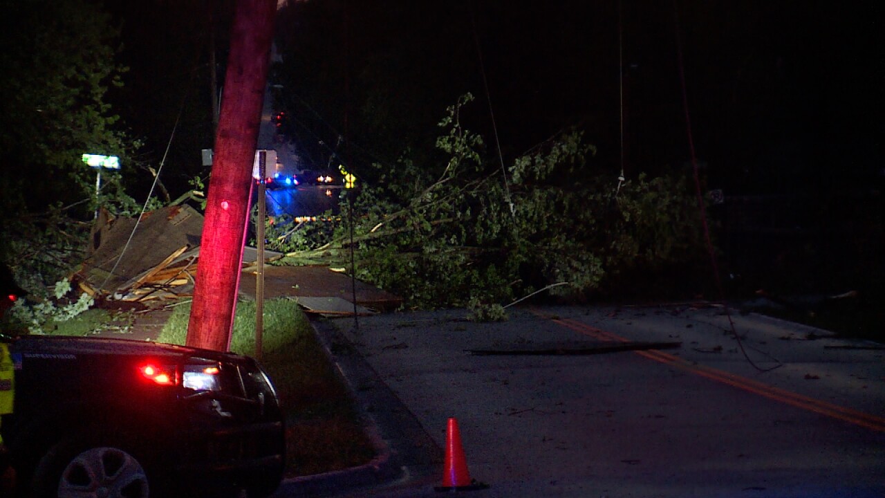Tree on power line Belton