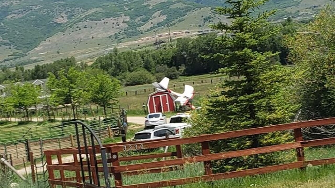 Homemade plane crashes in Eden; no injuries