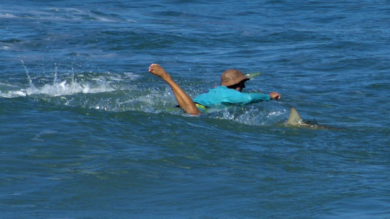 Surfer encounters shark at Sebastian Inlet on Oct. 3, 2021