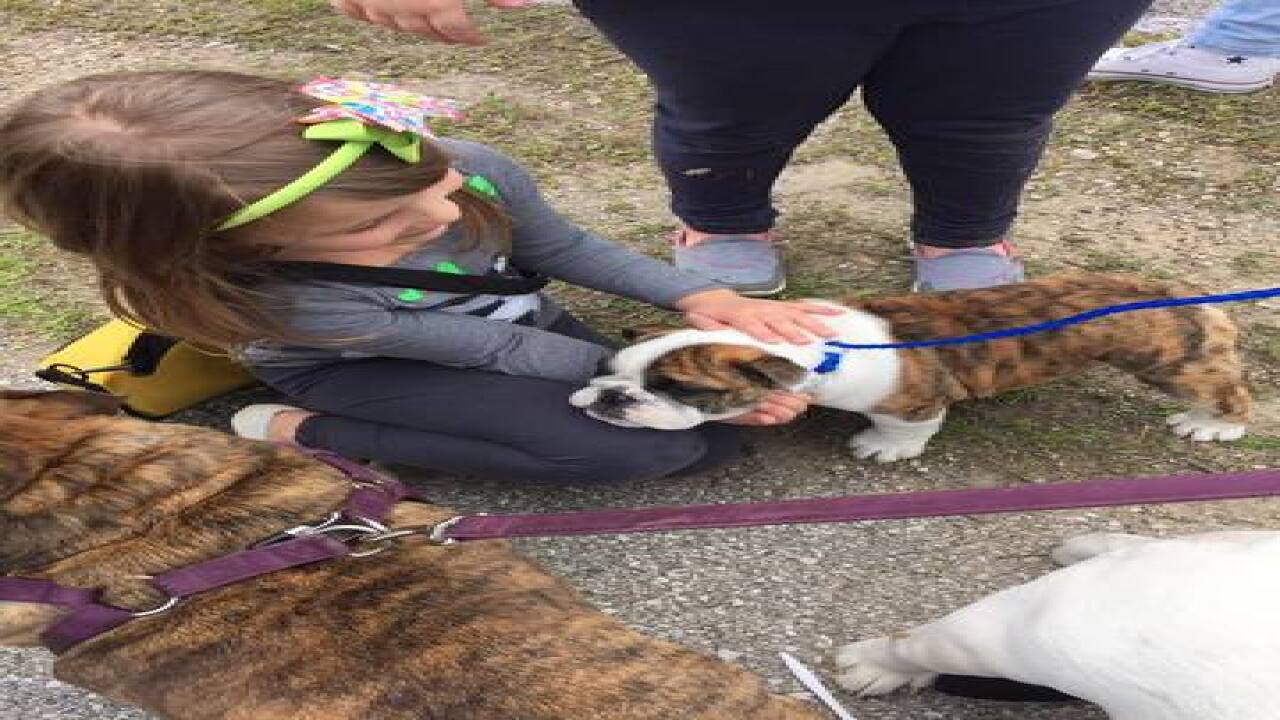 PHOTOS: Indy Humane Mutt Strut