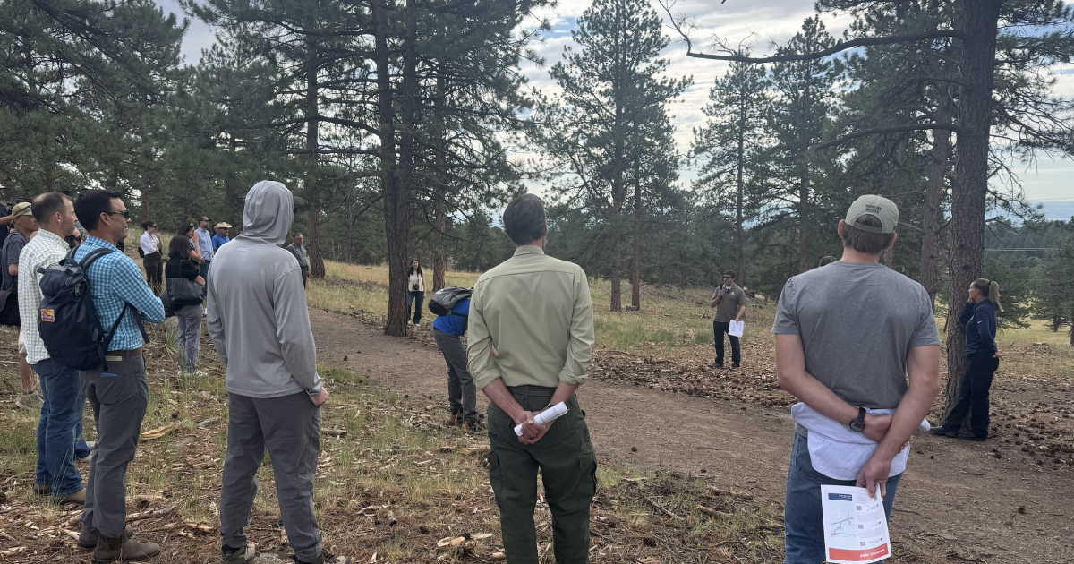 Wildfire risk looms over Colorado foothills as Jefferson and Clear Creek counties push forest management