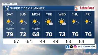 7 DAY FORECAST