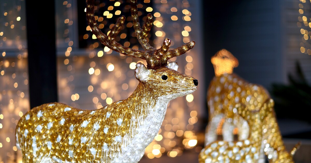 Kansas City Holiday Light Displays Where To Go What To See In The Metro Christmas Light Kansas City