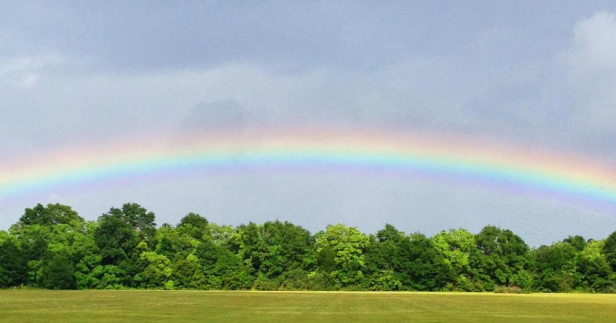 Science with Stevie: Rainbows