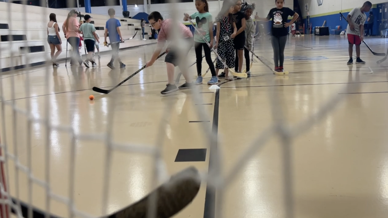 Vegas Golden Knights Youth Clinics