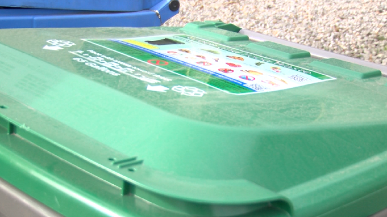 How to recycle after the holidays