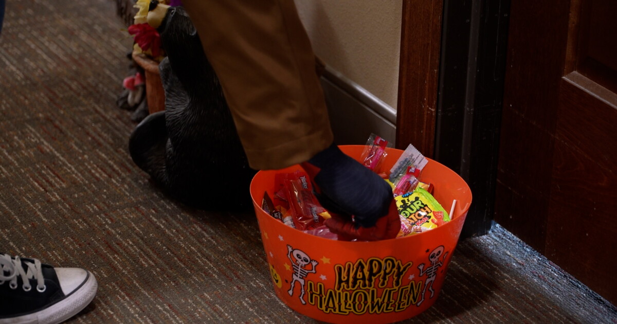 Helena Families Kick Off Halloween With Community Events and Candy