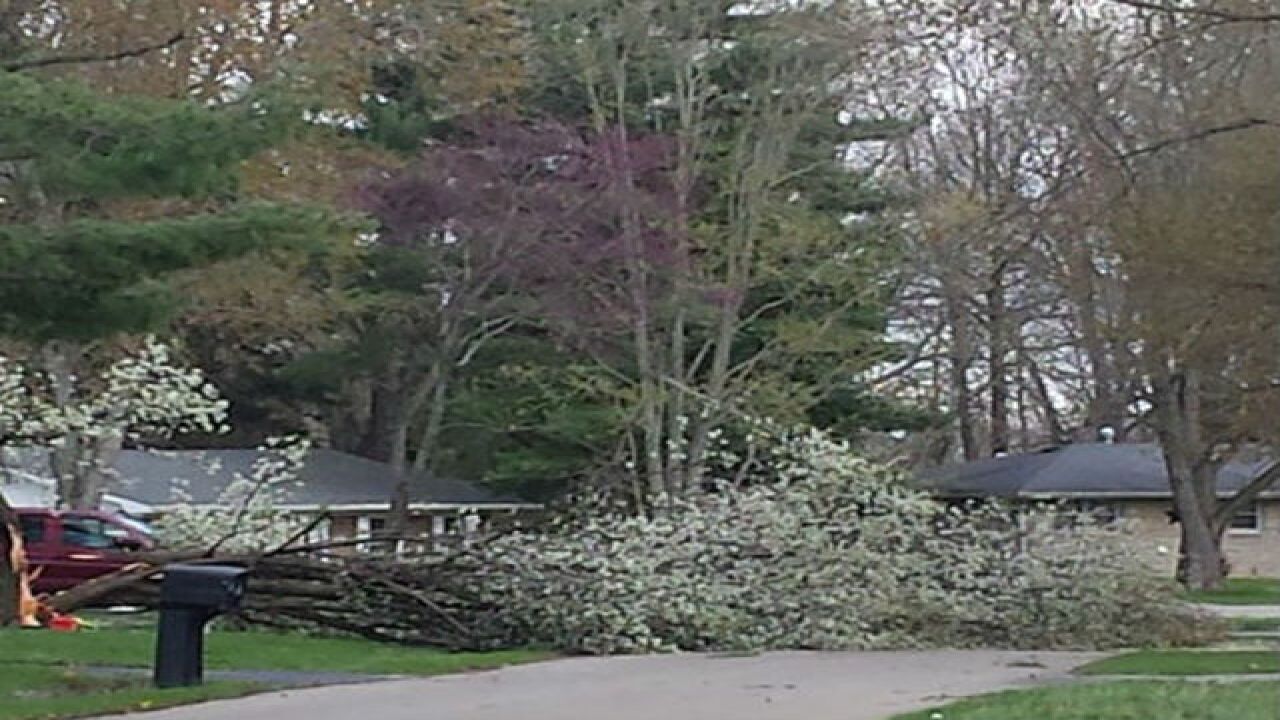 PHOTOS: Saturday's crazy weather