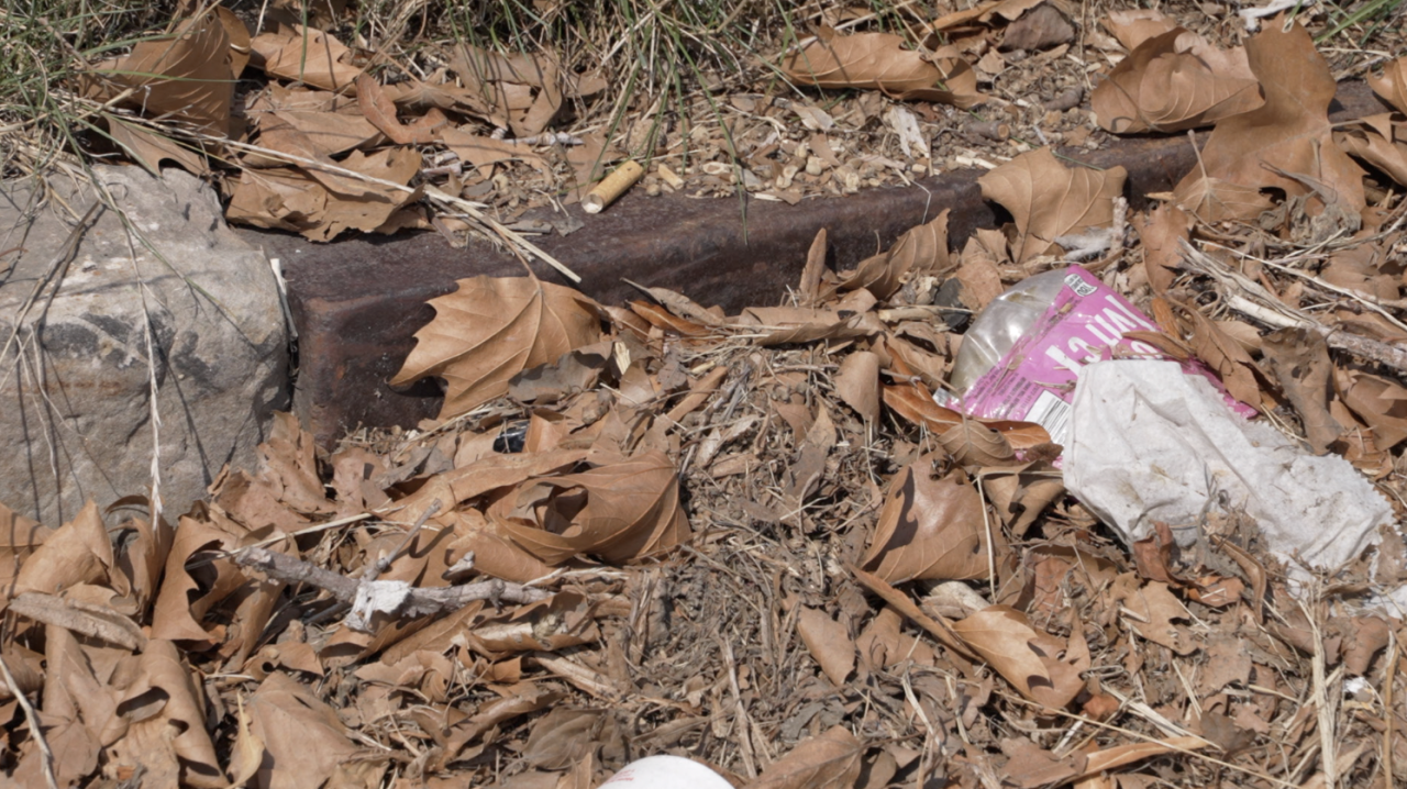 Sewer Drain on Wyoming Avenue