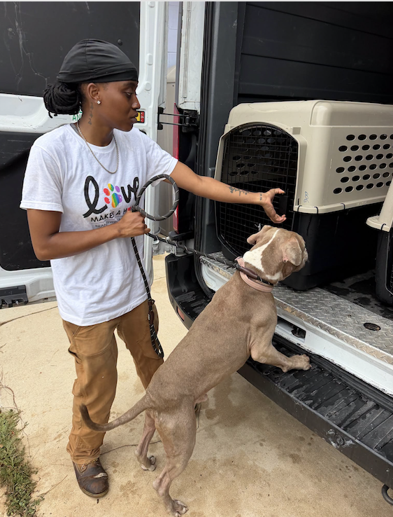Rescued from the rescue: 97 Milam County Dogtown dogs get a new start with Brandywine Valley SPCA