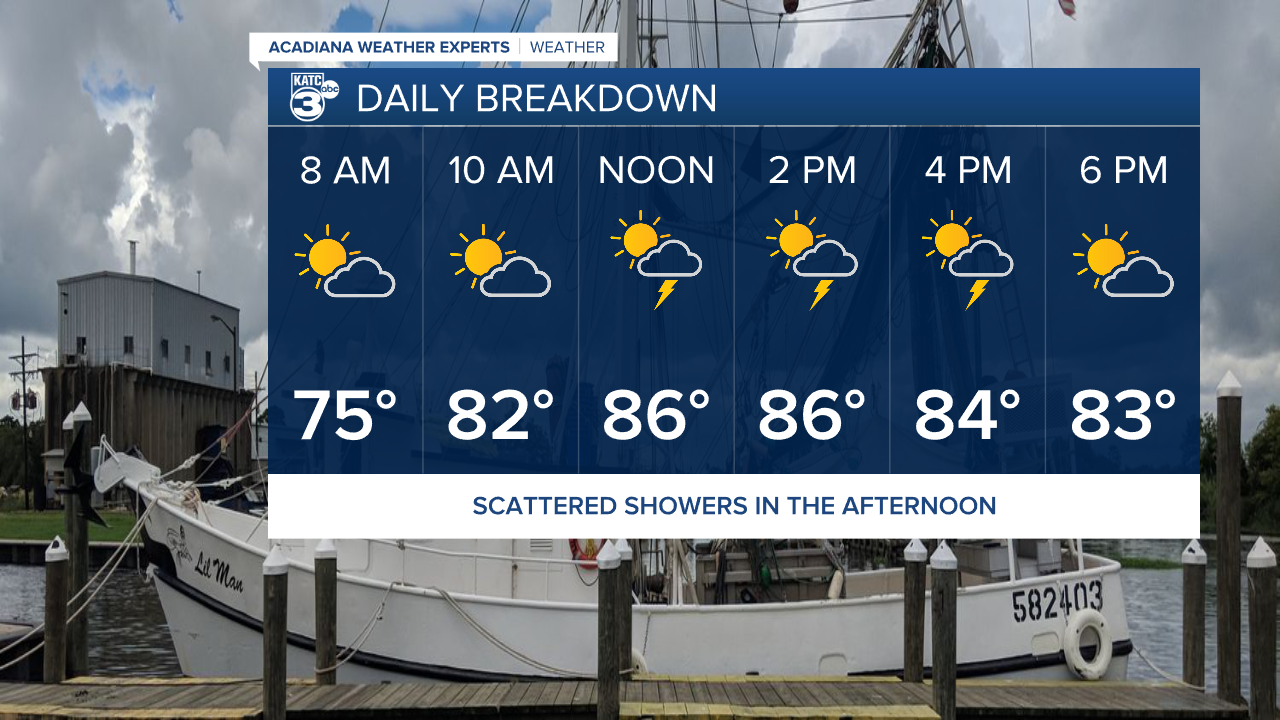 Vert Planner 6 - Hourly.png