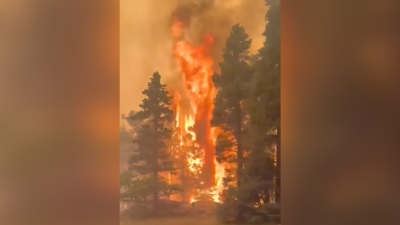 aspenacresfire.png