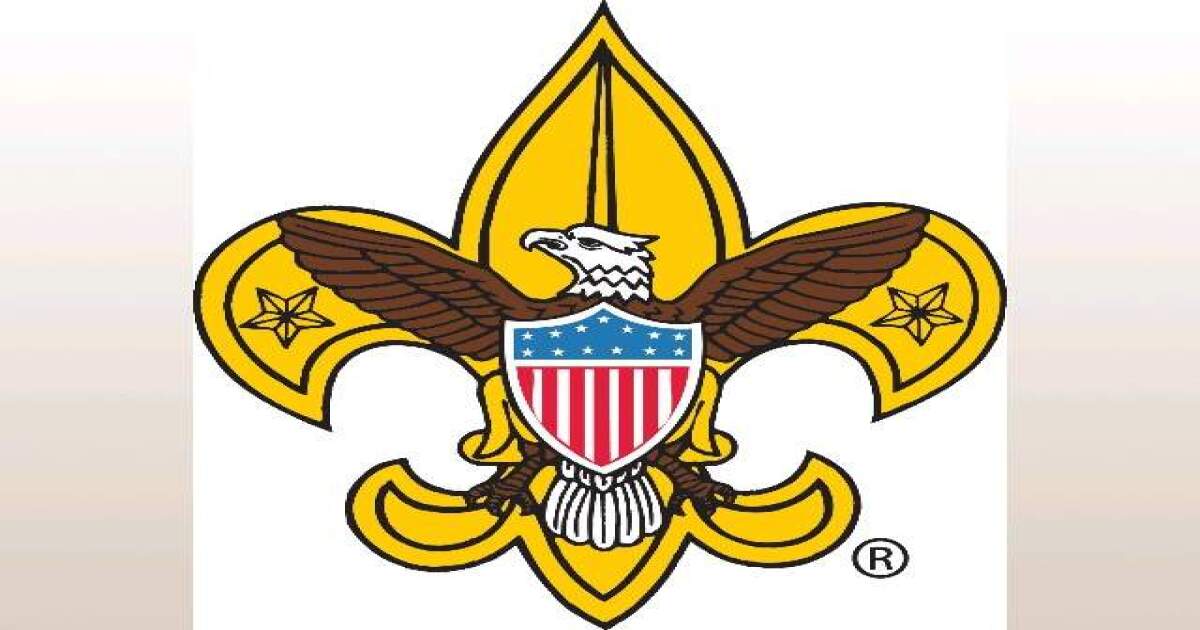 Boy Scouts to expand girls' participation