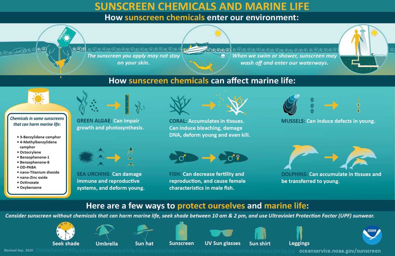 NOAA sunscreen chemicals and marine life