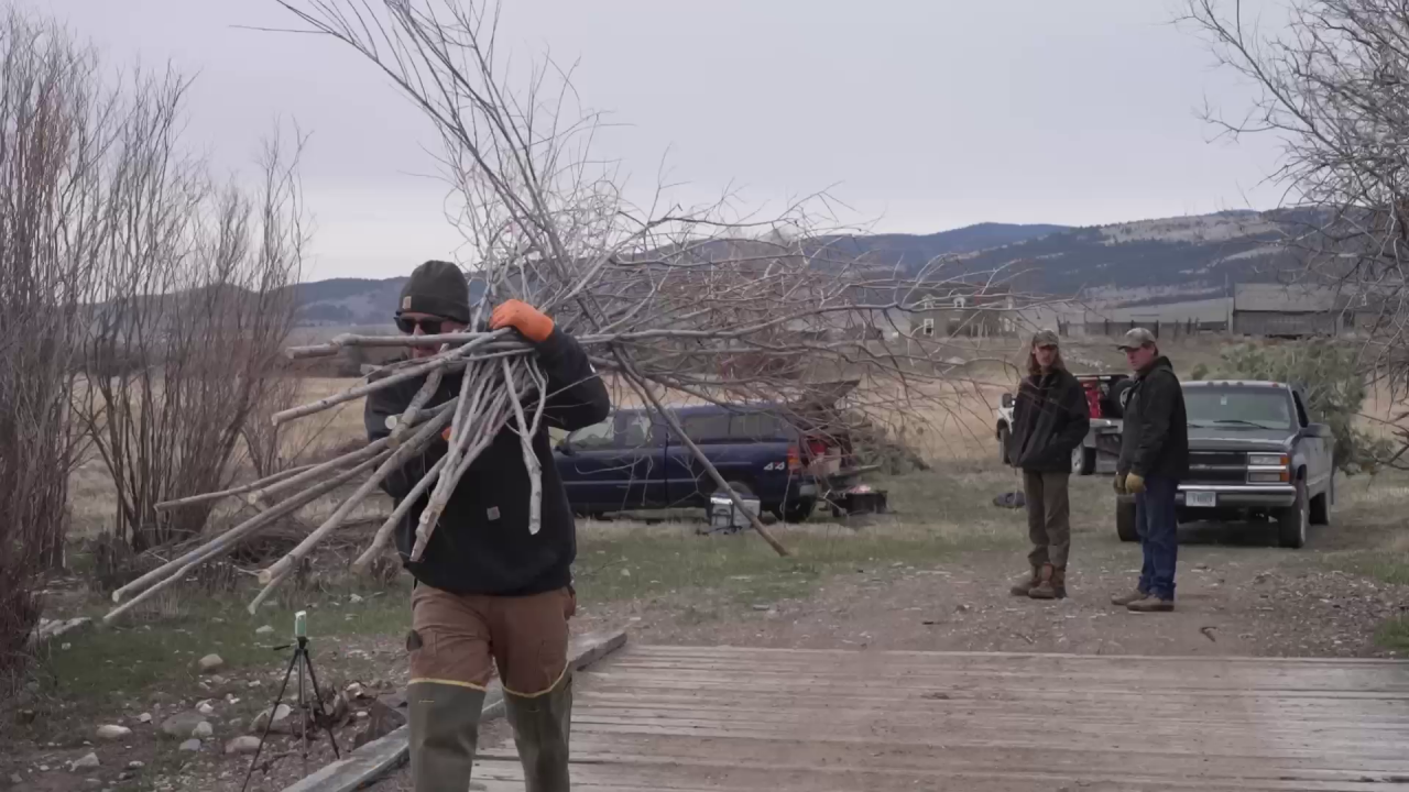 Working to restore eroded riverbanks with natural materials