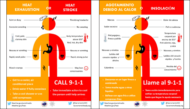 heat infographics.gif