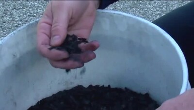 Biochar