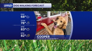 COOPER
