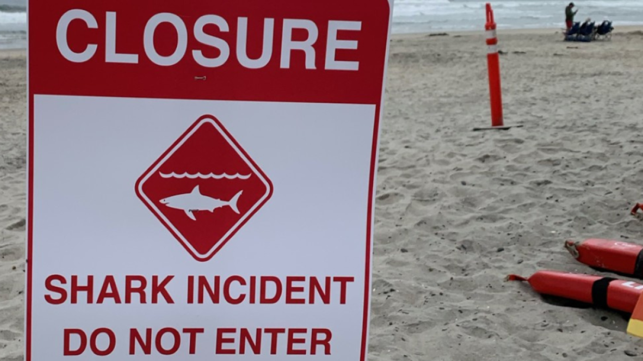 Man hospitalized after shark attack near San Diego