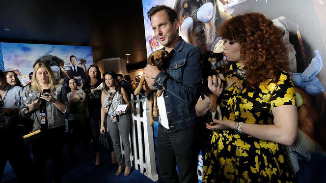 'Show Dogs' gets recut after parents say some scenes show sexual abuse