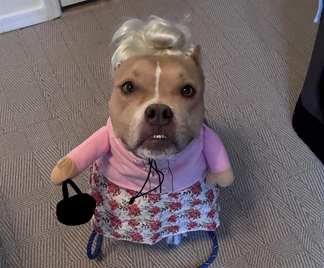 Agnes.jpg