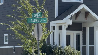Oak and Laurel 
