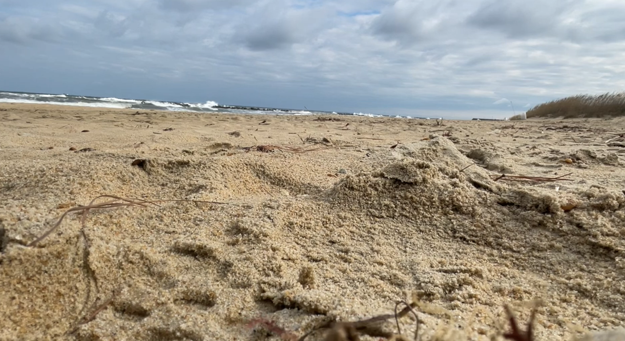 East Ocean View Beach