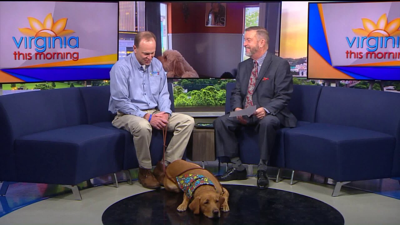 Take Your Pet To Holiday Barn Pet Resorts