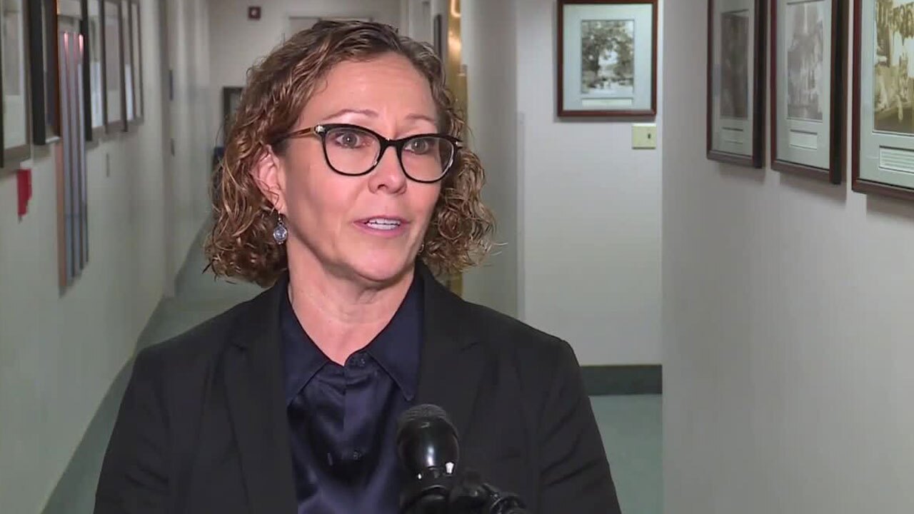 Patti Sullivan, Parental Rights Florida