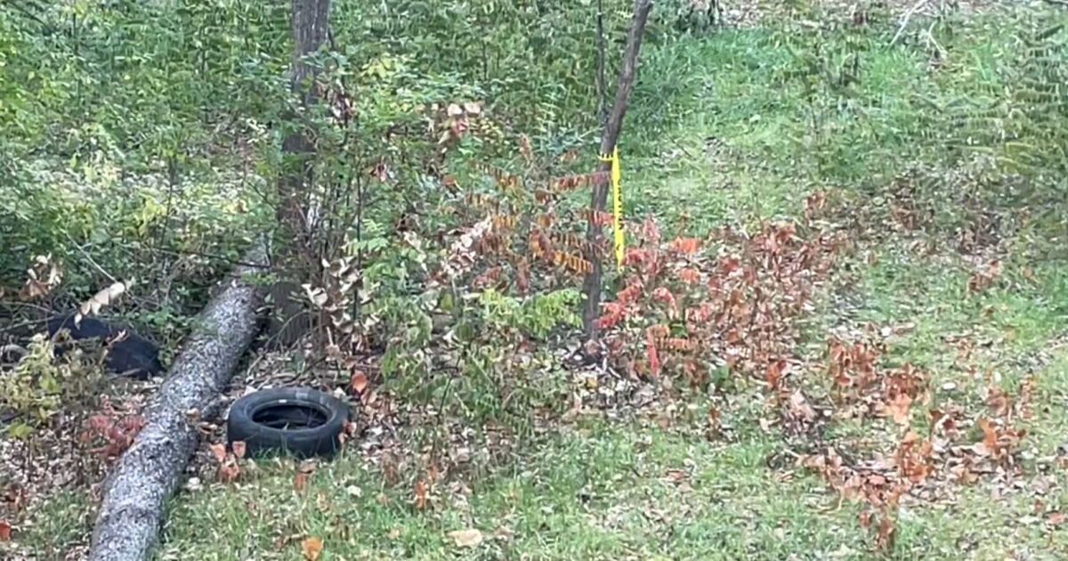 Coroner: Cincinnati contacting Louisiana to compare dismembered body cases - Vimarsana News