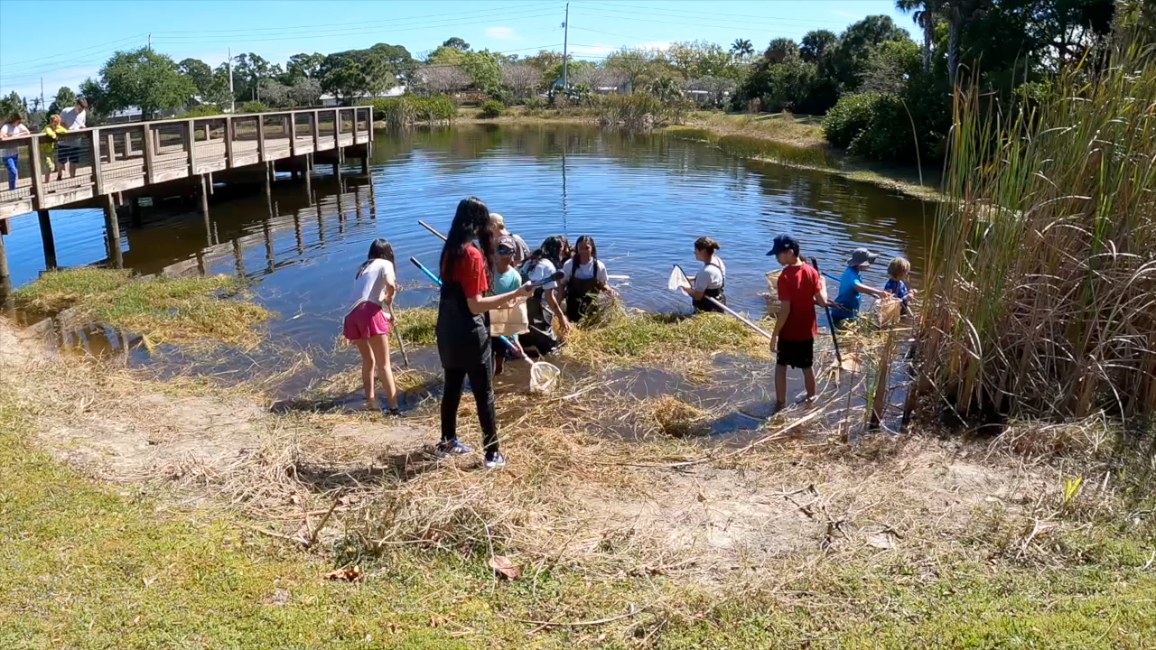 Students at Perry J. Cohen Wetlands Laboratory 