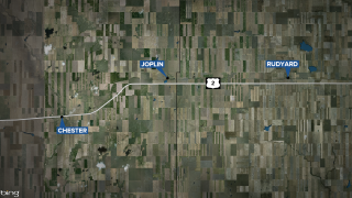 Driver dies in a crash in Liberty County