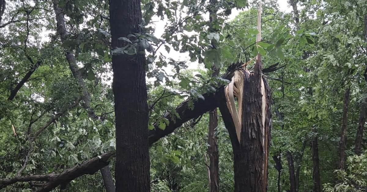 A closer look at how Thursday morning's storms impacted neighbors