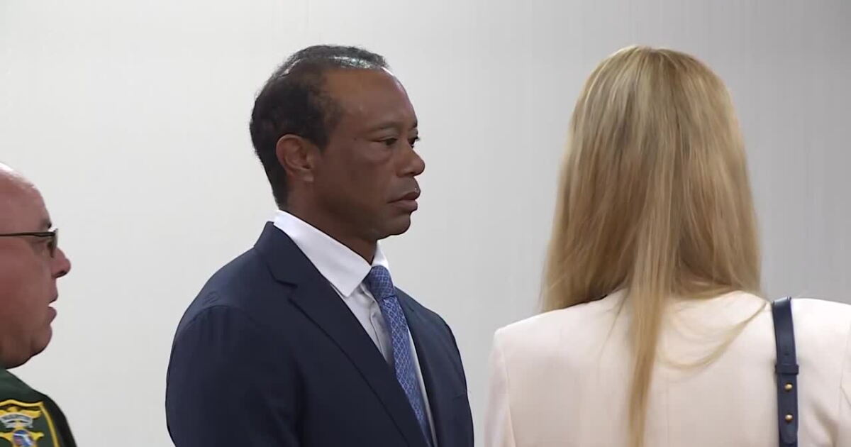 Tiger Woods plea hearing