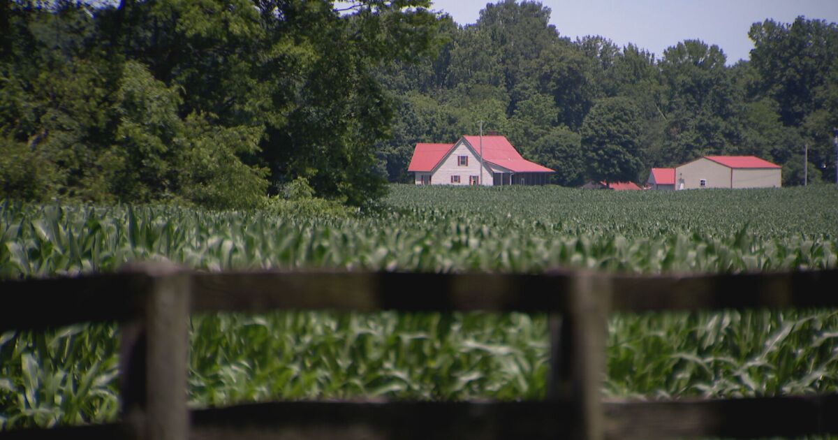 Cedar Hill in Robertson County passes 2-year moratorium on data centers amid rural preservation concerns