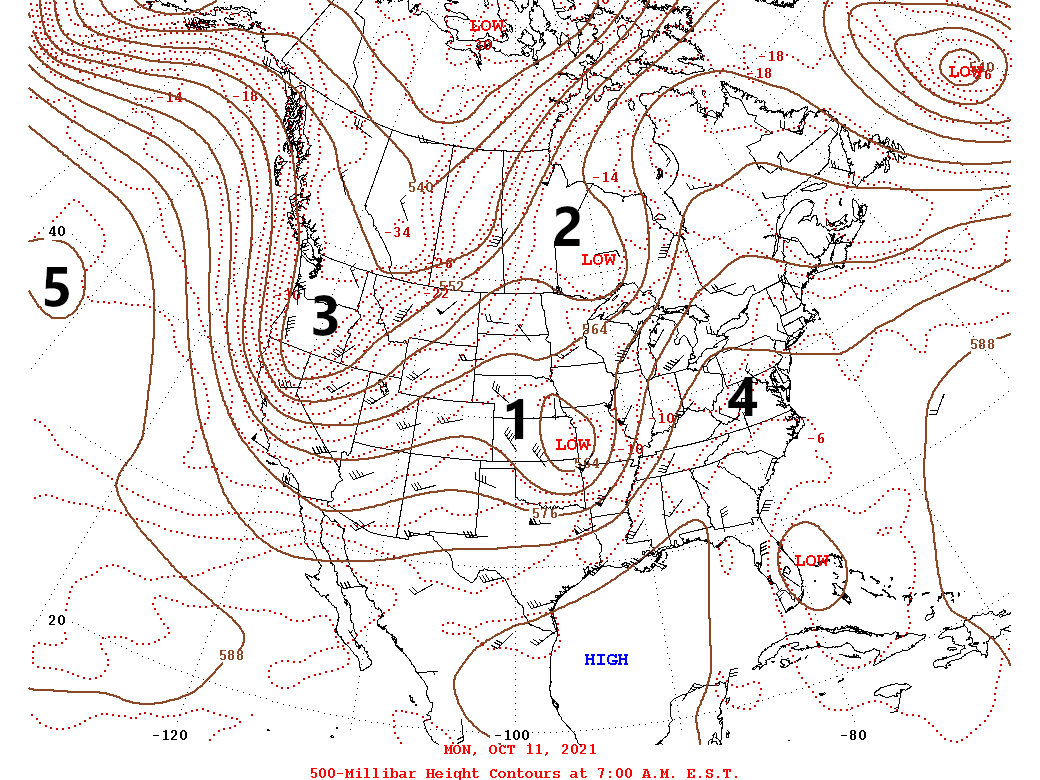 OCT 11 2021 500MB LABEL.gif