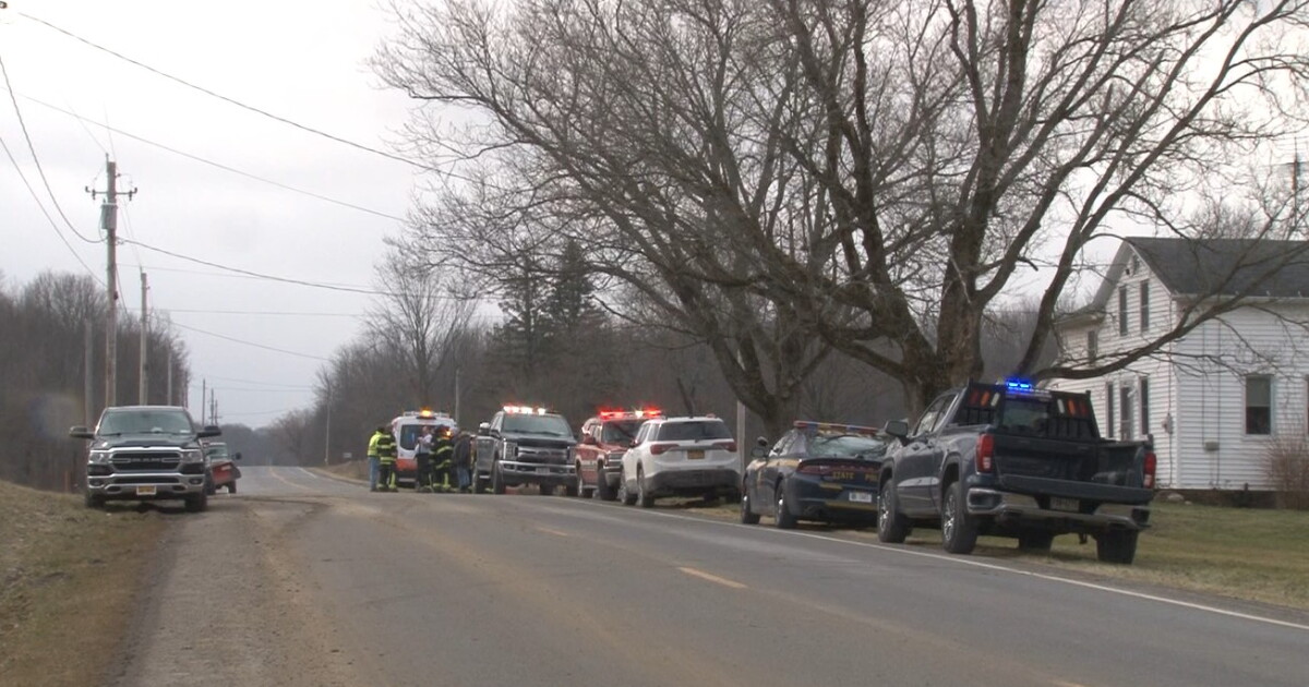 Woman dies after tree falls on her in Genesee County