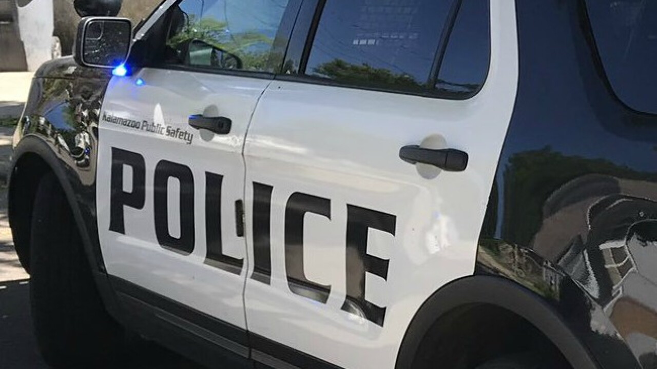 Tami Rey Kalamazoo Co. commissioner faces 2 counts of domestic violence