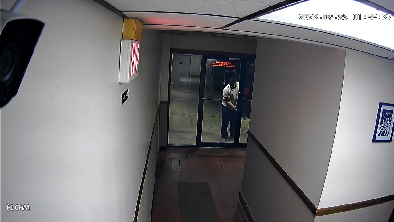 squatter 4_2.23.1.jpg