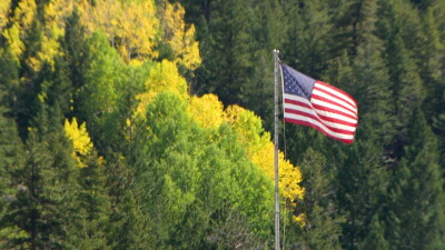 Fall foliage.jpg