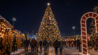 TREE1.png