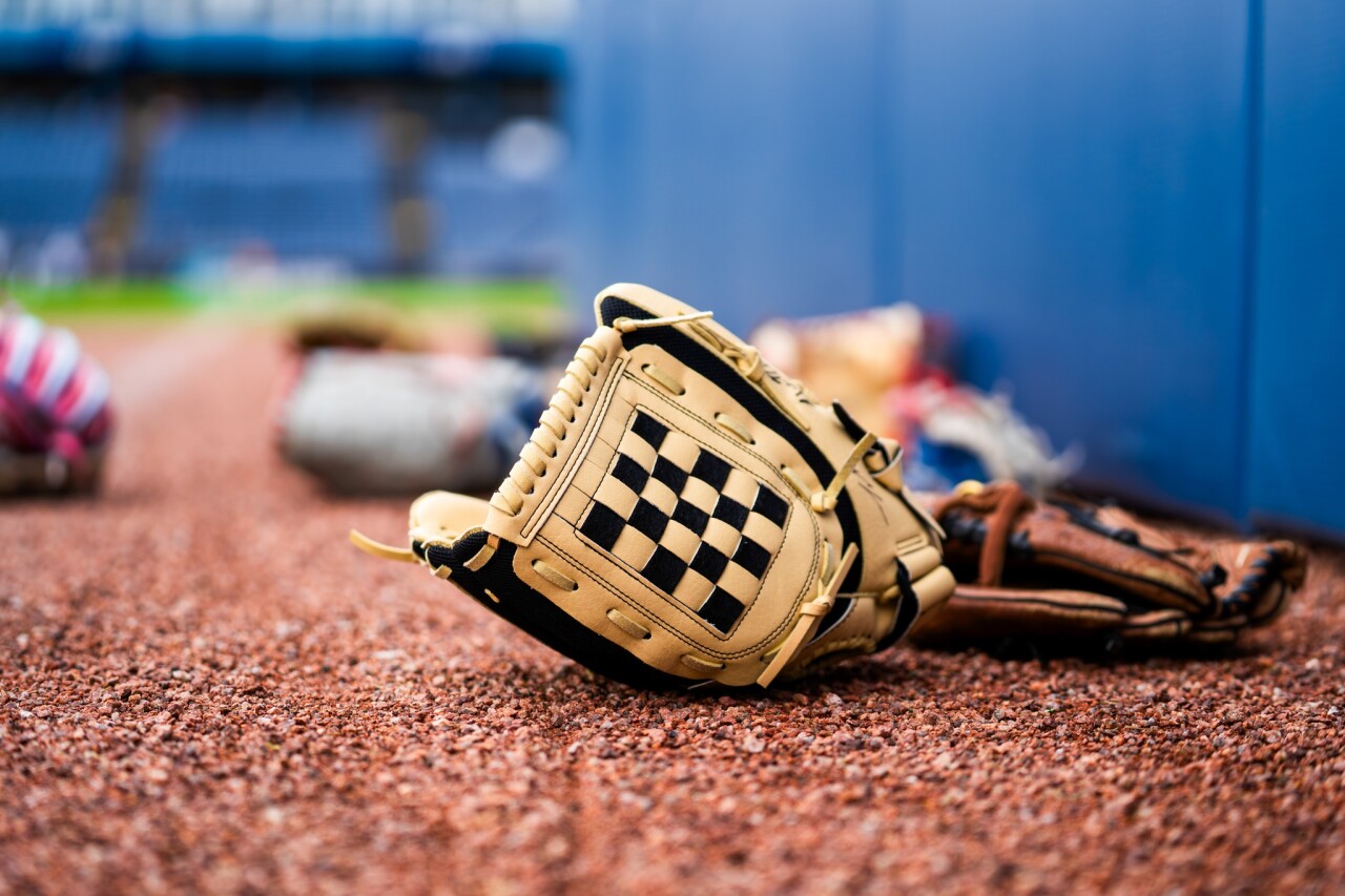 whitecaps glove main.jpg