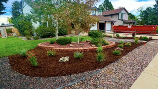 Xeriscaping